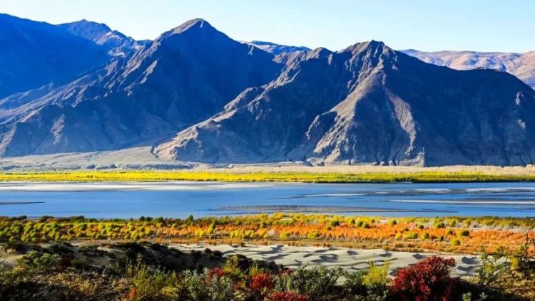 懂西藏的人，一定不會錯過林芝的秋天