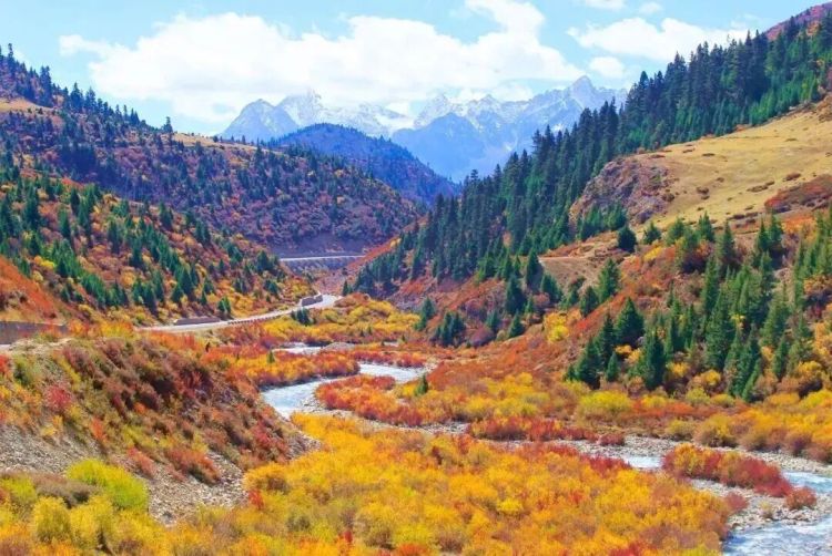 懂西藏的人，一定不會錯過林芝的秋天