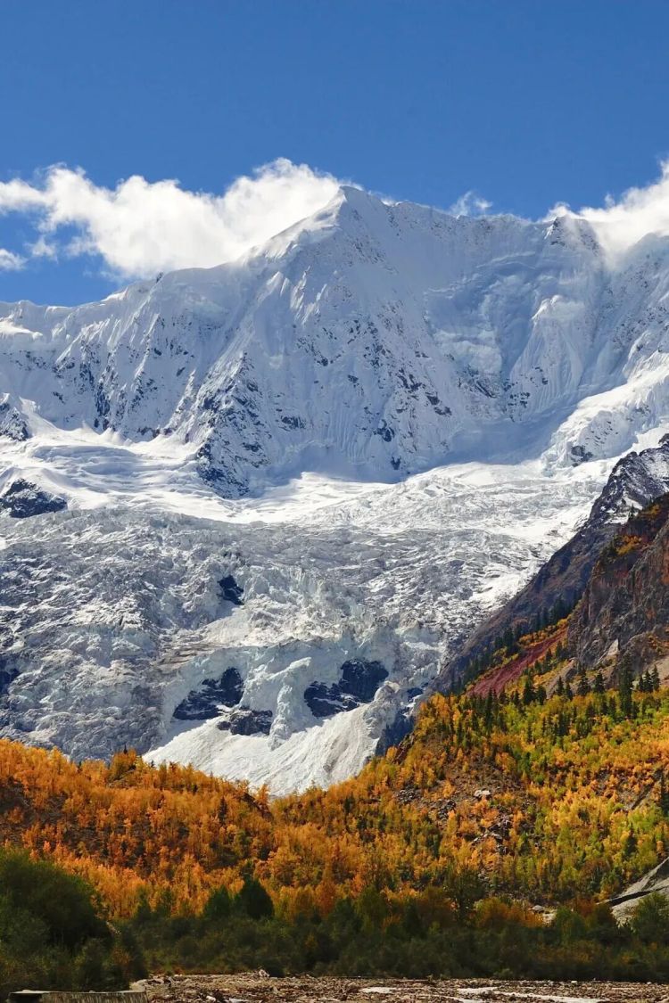 懂西藏的人，一定不會錯過林芝的秋天