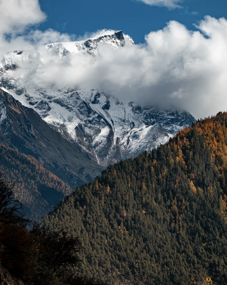 懂西藏的人，一定不會錯過林芝的秋天