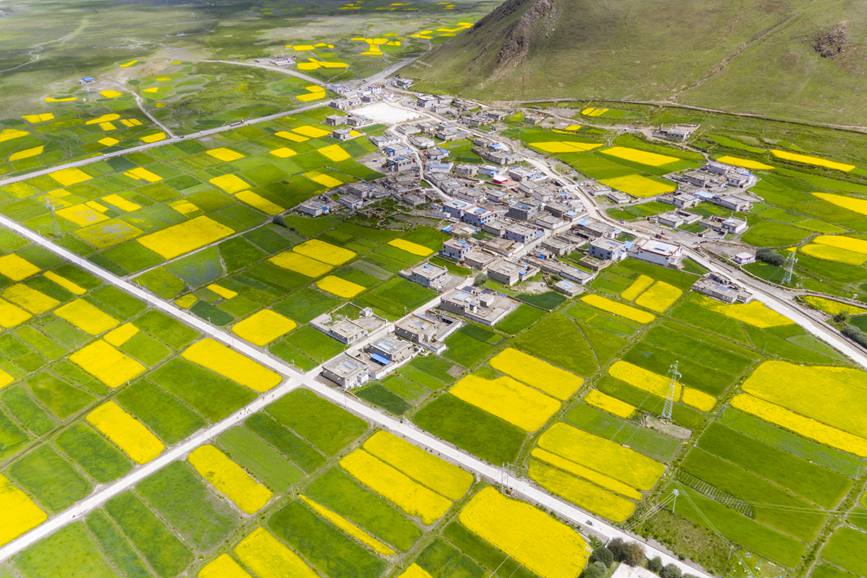 航拍道布龍村，依山傍水，阡陌縱橫。