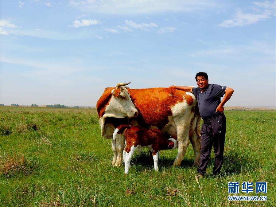 （奮斗百年路　啟航新征程·“七一勛章”獲得者·圖文互動(dòng)）（4）“草原之子”廷·巴特爾：讓草原綠起來(lái)，幫牧民富起來(lái)