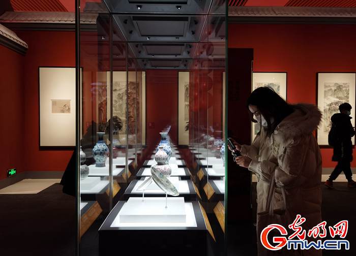 【新春走基層】視頻丨虎年看虎展！來國博感受虎文化