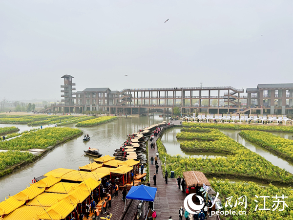 興化千垛菜花旅游節(jié)期間，游客前來打卡。人民網(wǎng) 王丹丹攝